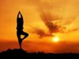 Brand New Yoga Business For Sale