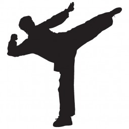 Premier Martial Arts Gym Franchise For Sale