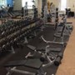 Elite Health and Fitness