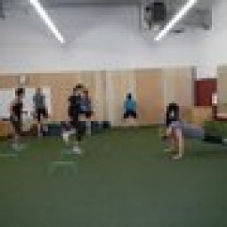 The Fitness Lab