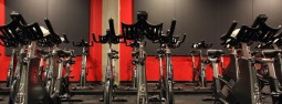 Torq Cycle Atlanta