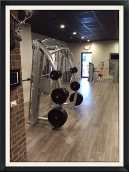 Fit Gym Savannah