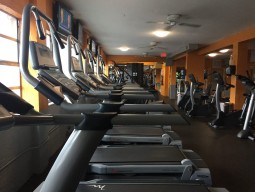 THE GYM – FT. LAUDERDALE